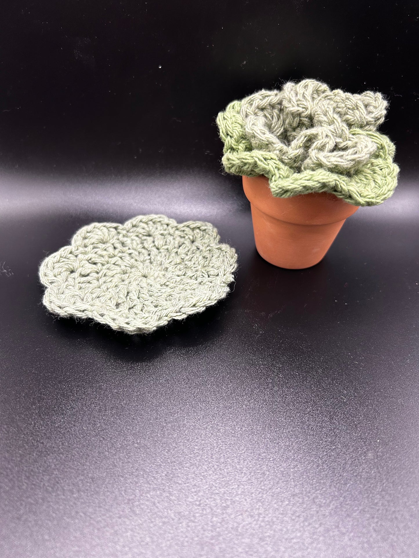 Crochet Succulent Coaster Set